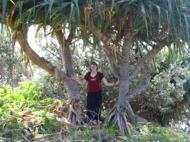north stradbroke island 2